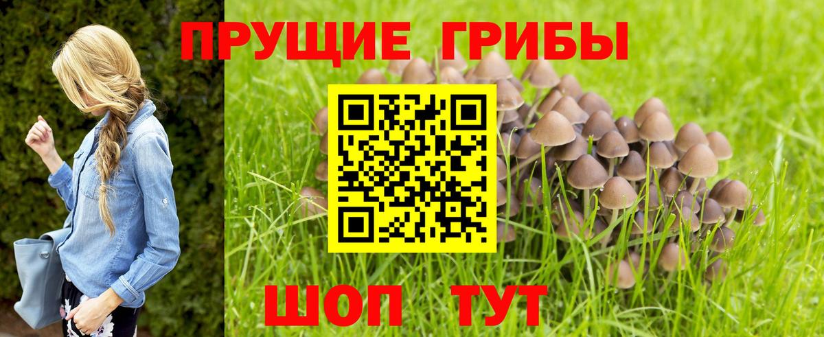 купить наркоту  Псилоцибиновые грибы мухоморы  Вход с VPN  Карпинск 
