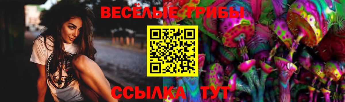 Галлюциногенные грибы Psilocybe Карпинск